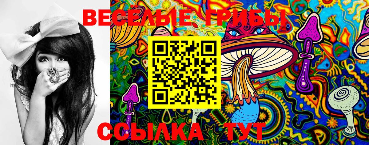Магадан  Псилоцибиновые грибы MAGIC MUSHROOMS  Вход с VPN 